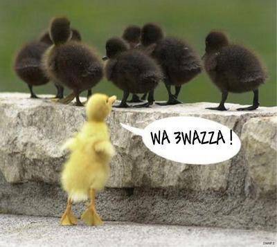 llllllllllllllooooooooooolllllllllllllllllll
