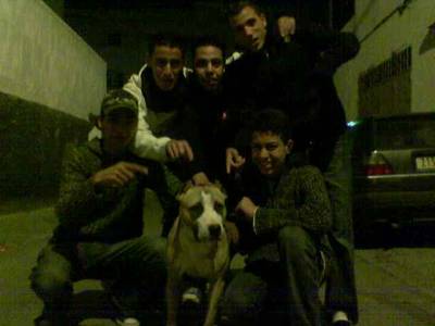 c mehdi et chraf et yousseh et ayatchhdad et moi